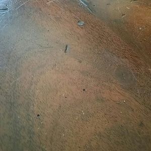 Meet your Posher, Natasha