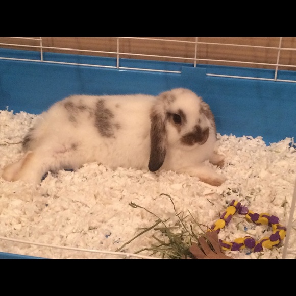 Meet your Posher, Kristy