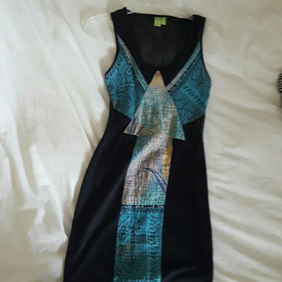 One of a kind renweal body dress