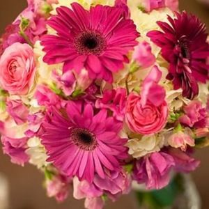 Meet your Posher, Matt