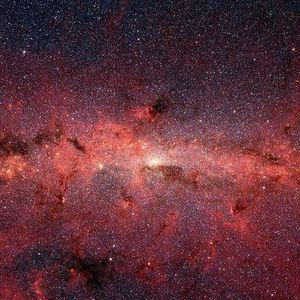 Meet your Posher, Rikki