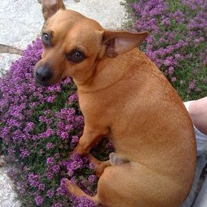 Meet your Posher, Cheryl