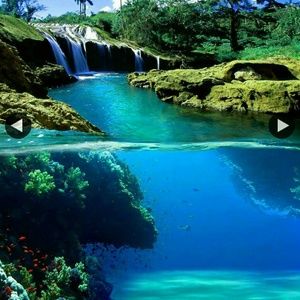 Meet your Posher, Alisha