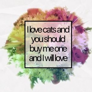 Meet your Posher, Abigail