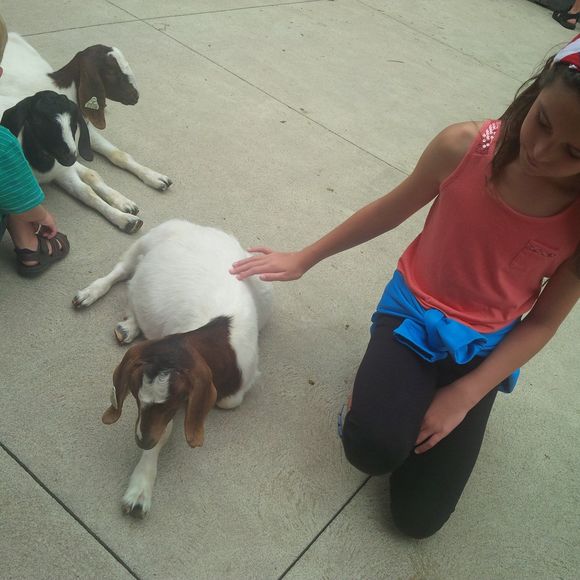 Meet your Posher, Martha