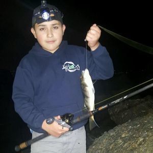 Meet your Posher, Richie