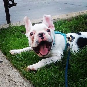 Meet your Posher, Kathryn