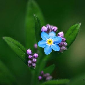 Meet your Posher, Chi