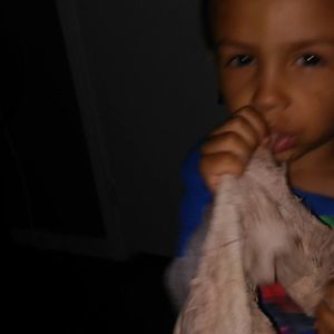 Meet your Posher, Lourdes iris