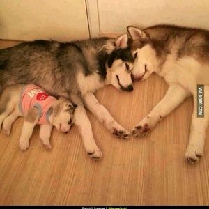 Meet your Posher, Jeffrey