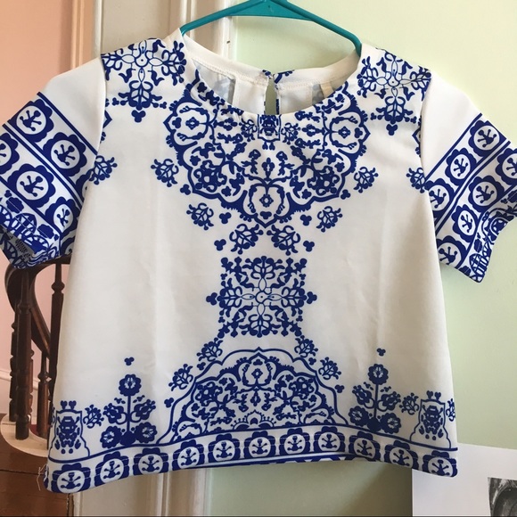 Blue and White Crop Top