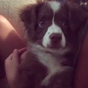 Meet your Posher, Mary