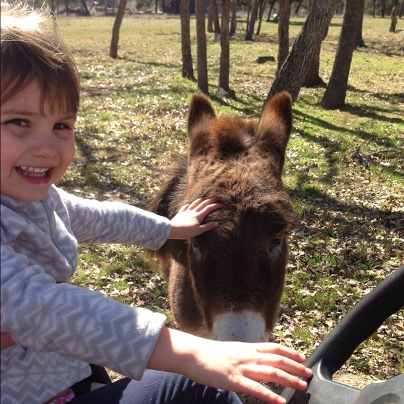 Meet your Posher, Abby