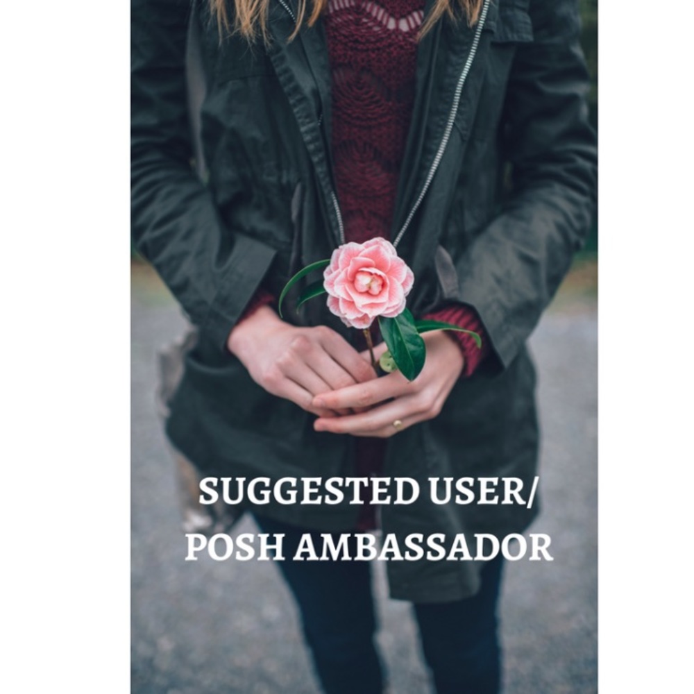Posh Ambassador! - Picture 1 of 3