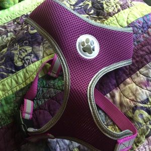 Purple dog harness