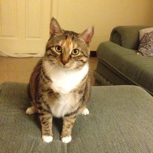 Meet your Posher, Wanda