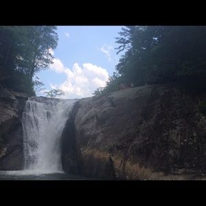 Meet your Posher, Allie