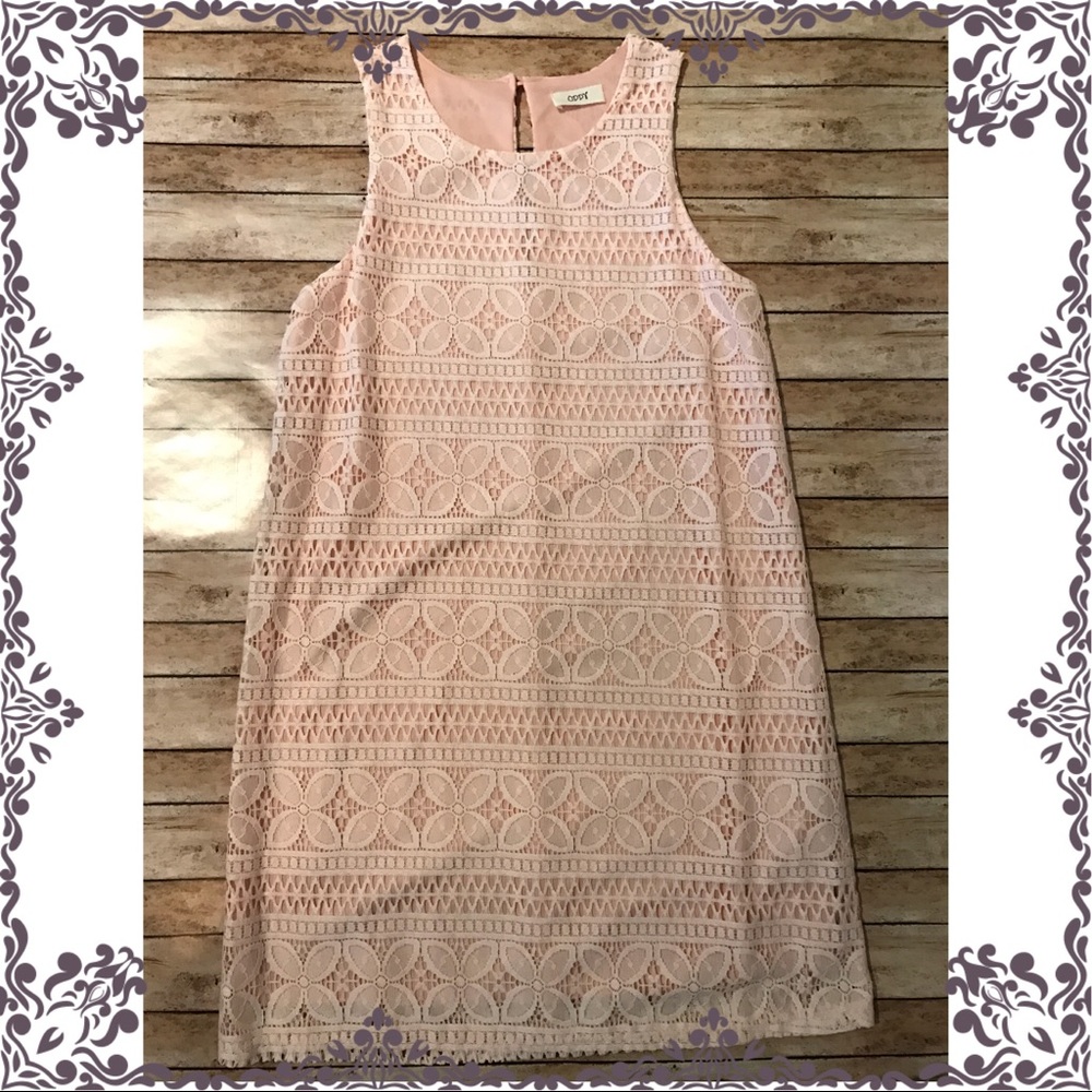 Boutique Pink Spring Lace Dress