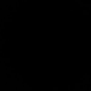 Meet your Posher, Xochitl