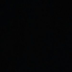 Meet your Posher, Daisy