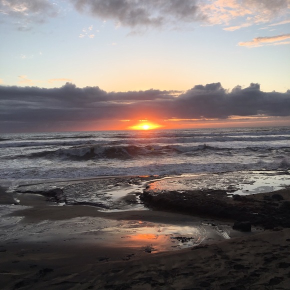 Meet your Posher, Helen - Picture 3 of 4