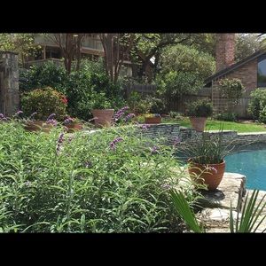 Meet your Posher, Karen