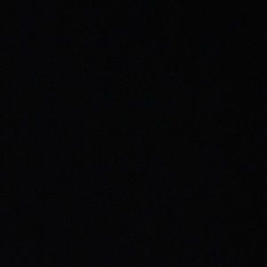 Meet your Posher, Payton