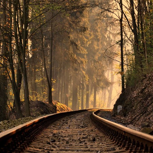 Meet your Posher, Teena