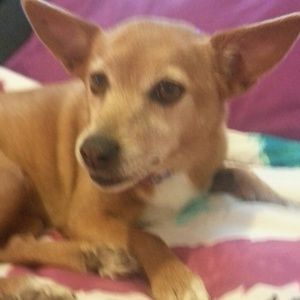 Meet your Posher, Krissy