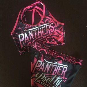 Cheer Athletics Panthers 2014-2015