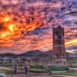 Meet your Posher, Tabitha