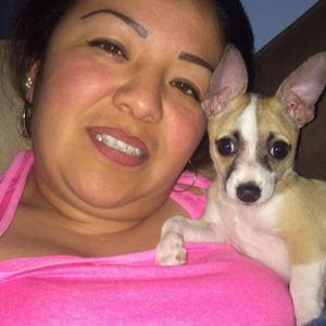 Meet your Posher, Isabel