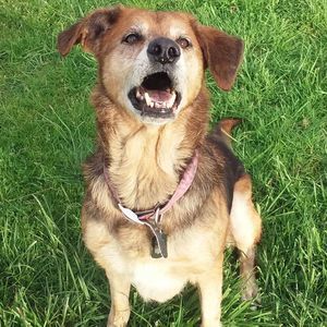 Meet your Posher, Nikki