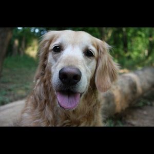 Meet your Posher, Cj