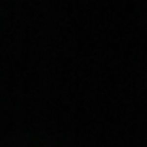 Meet your Posher, Ernesto