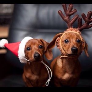 Meet your Posher, Georgette