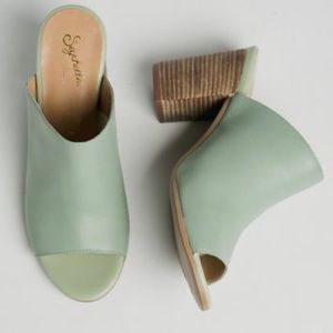 Seychelles Take Aim Mules