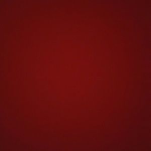 Meet your Posher, Leen