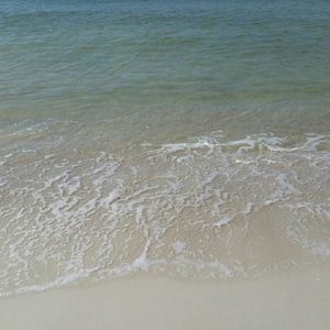 Meet your Posher, Kendra