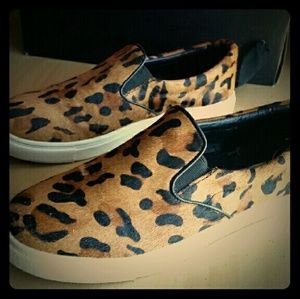 Steve Madden Ecentric sneakers!