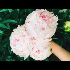 Meet your Posher, Julie