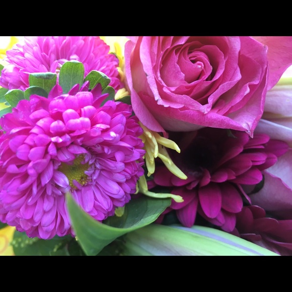 Meet your Posher, Mia - Picture 1 of 1