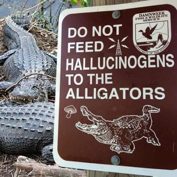 Meet your Posher, Robbie c - Picture 2 of 2