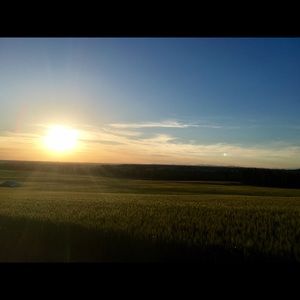 Meet your Posher, Em