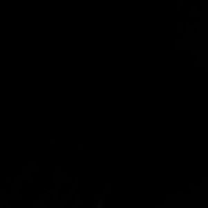 Meet your Posher, Tamara