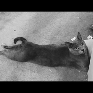 Meet your Posher, Johnna