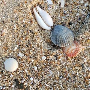 Meet your Posher, Cathy