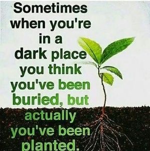 You've been planted for greatness