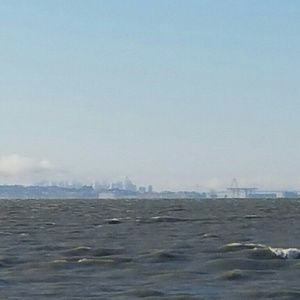 Meet your Posher, Lupe