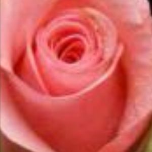 Meet your Posher, Sandy